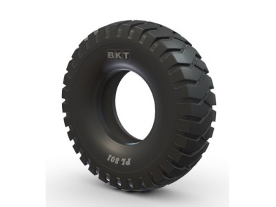 8.15-15 (28.9-15)14PR PL801 E TT C/CAMARA E FLAP BKT