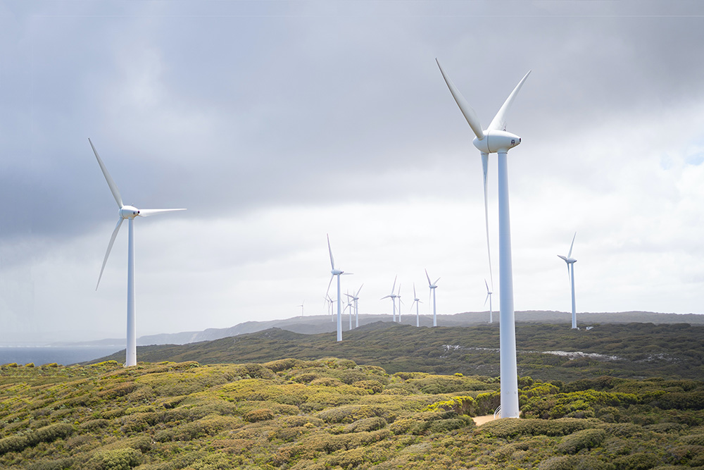 imagen molinos viento 